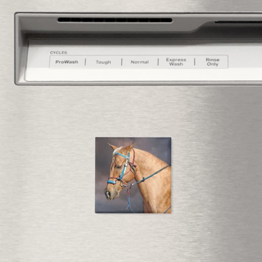 Horse Head Magnet (Insitu (Vaatwasser))