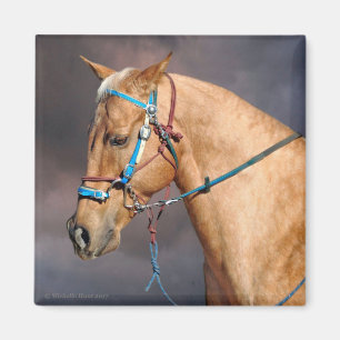 Horse Head Magnet