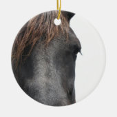 Horse Head Ornament (Voorkant)