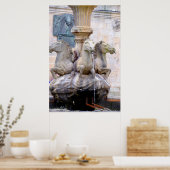 Horse Headed Fountain, Spanje Poster (Keuken)