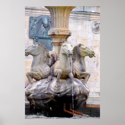 Horse Headed Fountain, Spanje Poster (Voorkant)