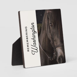 Horse Herdenking Equine Memorial Foto Fotoplaat