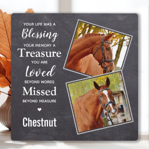 Horse Herdenking Memorial Foto Collage Fotoplaat