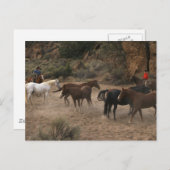 Horse Herding Briefkaart (Voorkant / Achterkant)