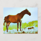 *~* Horse - Hill Mountains AR22 Equine Artistic Briefkaart (Voorkant)