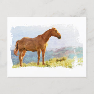 *~* Horse - Hill Mountains AR22 Equine Waterverf Briefkaart