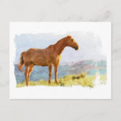 *~* Horse - Hill Mountains AR22 Equine Waterverf Briefkaart (Voorkant)