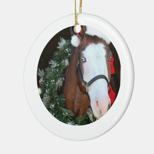 Horse Holiday Ornament (Links)