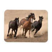 Horse In Fall II Magneet (Horizontaal)
