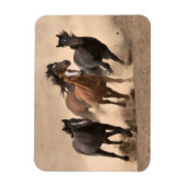 Horse In Fall II Magneet (Verticaal)