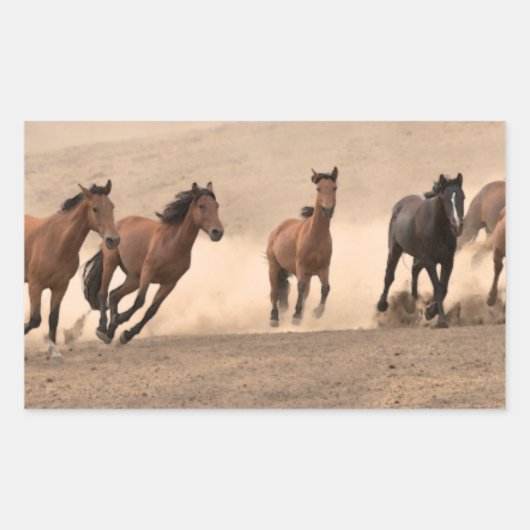 Horse In Fall II Rechthoekige Sticker (Voorkant)