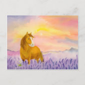 Horse in Lavender Field During Sunset  Briefkaart (Voorkant)