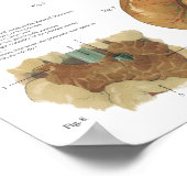 Horse interne organen Anatomy Brain Stomach Chart Poster (Hoek)