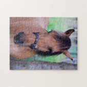 Horse Jigzaadpuzzel Legpuzzel (Horizontaal)