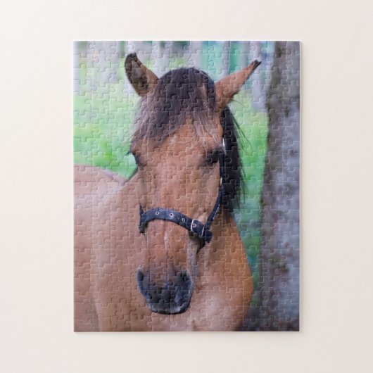 Horse Jigzaadpuzzel Legpuzzel (Verticaal)