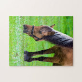 Horse Jigzaadpuzzel Legpuzzel (Horizontaal)