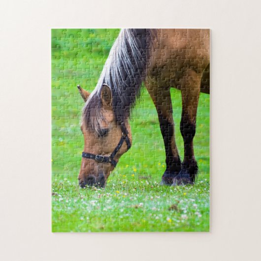 Horse Jigzaadpuzzel Legpuzzel (Verticaal)
