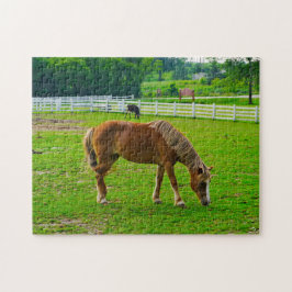 Horse Jigzaag Puzzle Legpuzzel