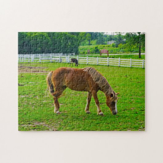 Horse Jigzaag Puzzle Legpuzzel (Horizontaal)