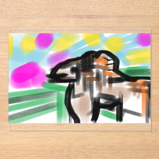 Horse joy acryl uitnodigingen (Voorkant)