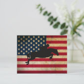 Horse Jumper USA Vlag Post Kaart (Staand voorkant)