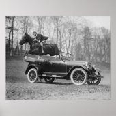 Horse Jumping Over Car, 1923.  foto Poster (Voorkant)