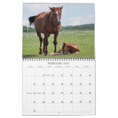 Horse kalender 2013 (Feb 2027)