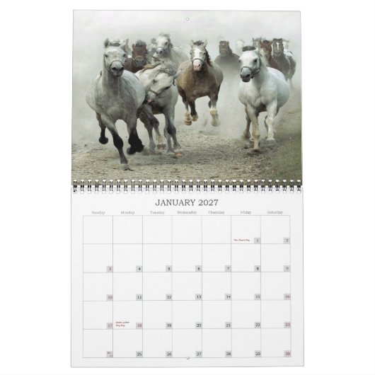 Horse kalender 2013 (Jan 2027)