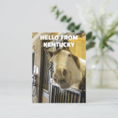 HORSE KENTUCKY FUNNY BRIEFKAART (Staand voorkant)