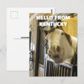 HORSE KENTUCKY FUNNY BRIEFKAART (Voorkant / Achterkant)