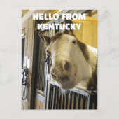 HORSE KENTUCKY FUNNY BRIEFKAART (Voorkant)