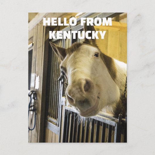 HORSE KENTUCKY FUNNY BRIEFKAART (Voorkant)