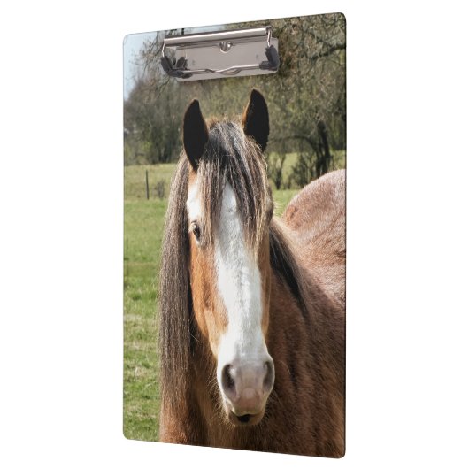 HORSE KLEMBORD (Links)