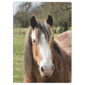 HORSE KLEMBORD (Achterkant)