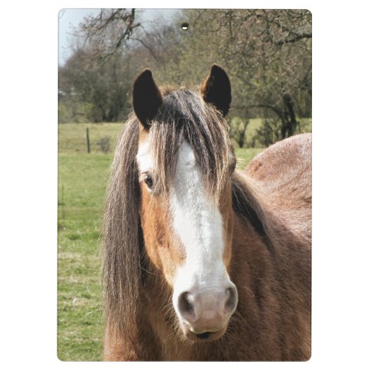 HORSE KLEMBORD (Achterkant)