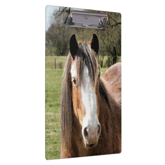 HORSE KLEMBORD (Rechts)