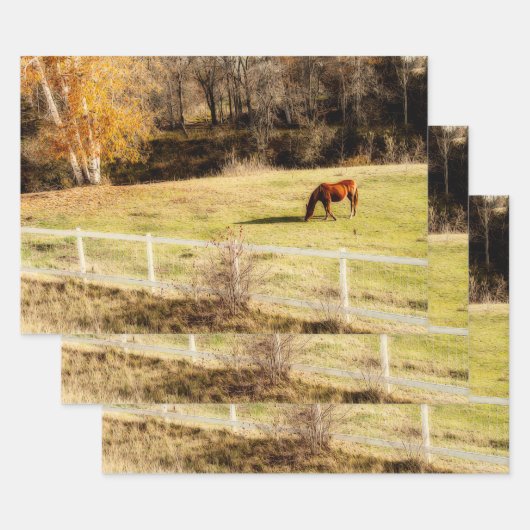 Horse land - herfst ontkoppeling inpakpapier vel (Set)