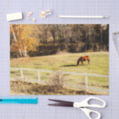 Horse land - najaar ontkoppeling tissuepapier (Craft)