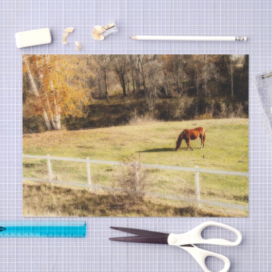 Horse land - najaar ontkoppeling tissuepapier (Craft)