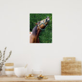 Horse Laugh Poster (Keuken)