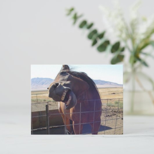 Horse Laughing Briefkaart (Staand voorkant)
