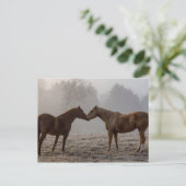 Horse Love Briefkaart (Staand voorkant)