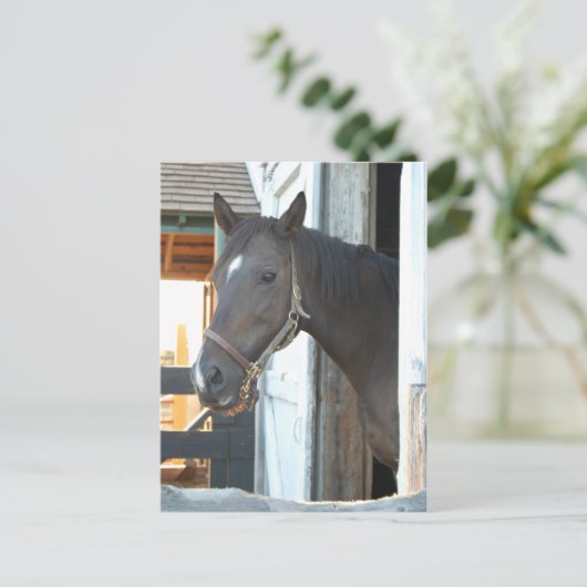 Horse Love Briefkaart (Staand voorkant)