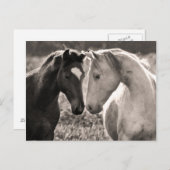 Horse Love Briefkaart (Voorkant / Achterkant)