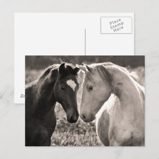 Horse Love Briefkaart (Voorkant / Achterkant)