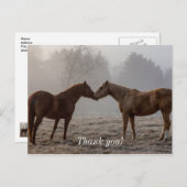 Horse Love Dank je Briefkaart (Voorkant / Achterkant)