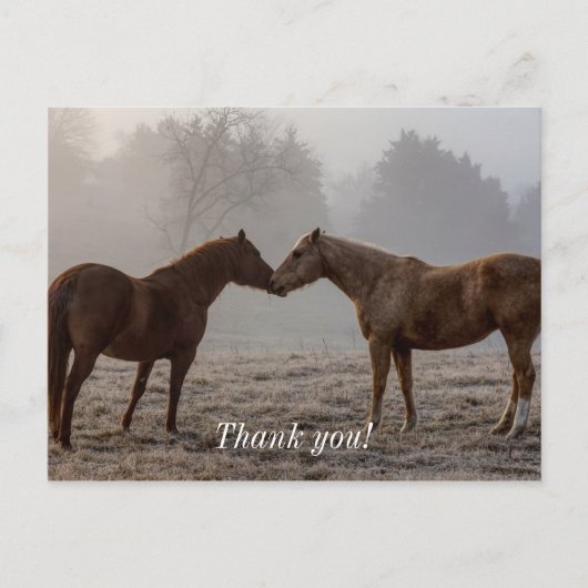 Horse Love Dank je Briefkaart (Voorkant)