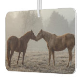 Horse Love Luchtverfrisser (Links)