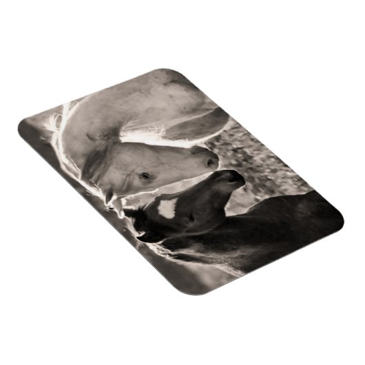 Horse Love Magneet (Rechterzijde)