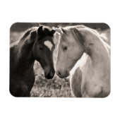 Horse Love Magneet (Horizontaal)